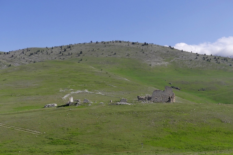 Orchidee a Campo Imperatore tra Medioevo e wilderness  primavera 2023